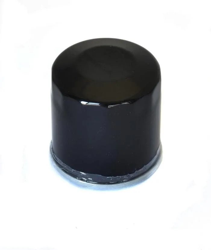 Filtro olio ATHENA cod. FFP004 | YAMAHA T-MAX 530 2017-2019