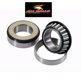 cuscinetti sterzo + paraoli bmw r75 r80