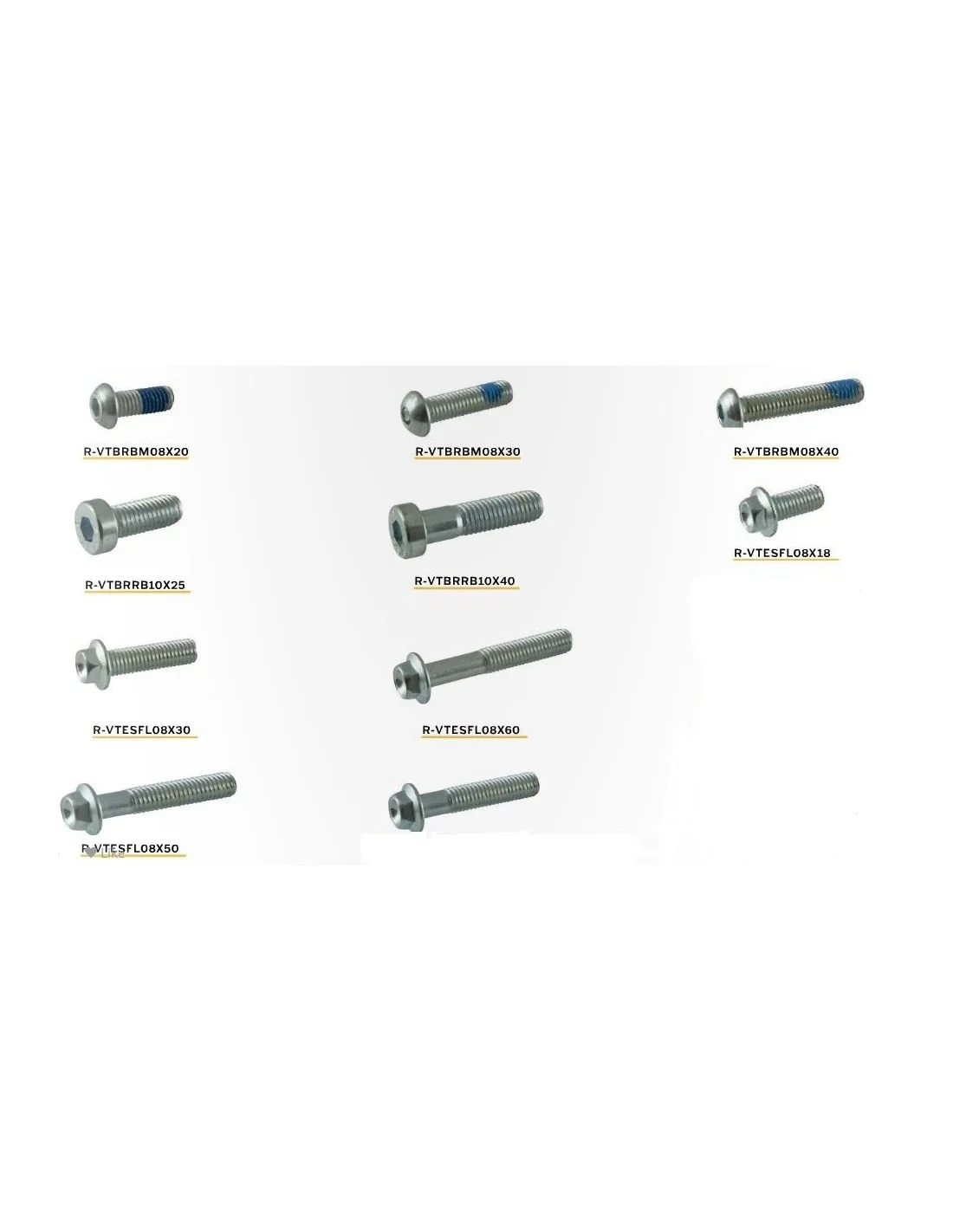 Viteria speciale Acciaio Racetech